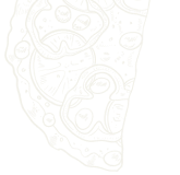 efdb7dd3 desi image obj 011